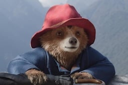 In case you missed it: Take a family journey with Paddington to Peru in IMAX, 4DX and Superscreen